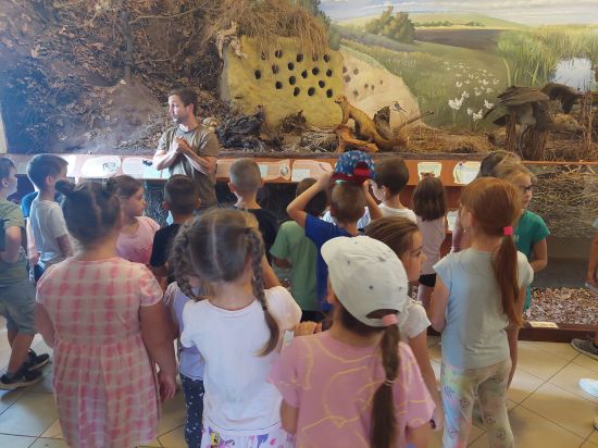 Kirándulás Farmoson a Tápió Natúrparkban